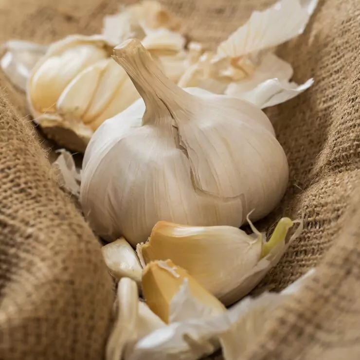 dehydrated-garlic2.webp