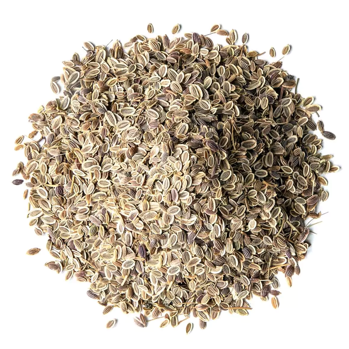 dill-seeds2.webp